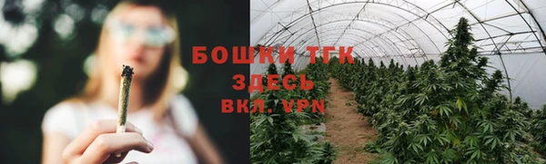 стаф Киреевск