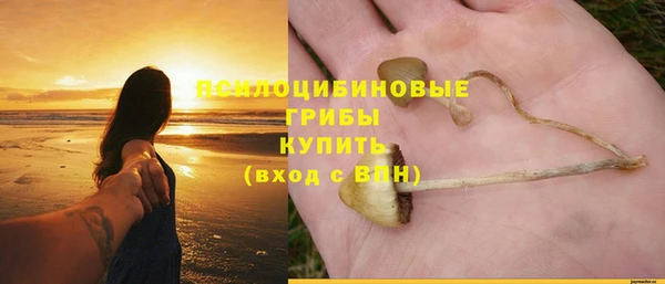 бутират Кинешма