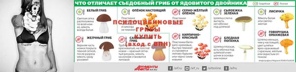 стаф Киреевск