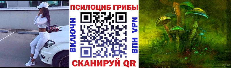 Купить где  Ельня  Псилоцибиновые грибы ЛСД 